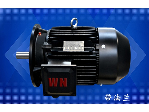 10 多級泵專(zhuān)用電機（1）