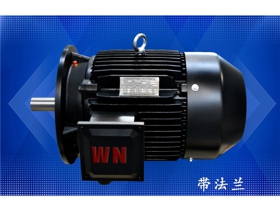 多級(ji)泵專用電機（1）