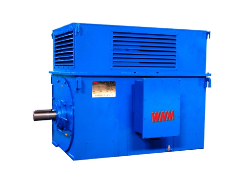 8 Y系列中型高(gāo)壓高效電動機(ji)