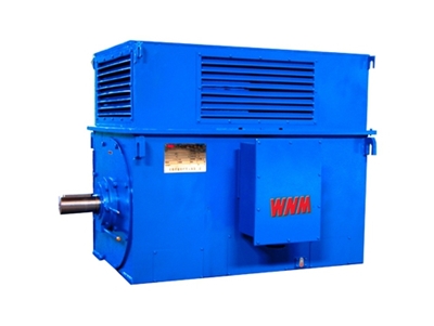 Y系列(liè)中型高(gāo)壓高效(xiào)電動機(ji)