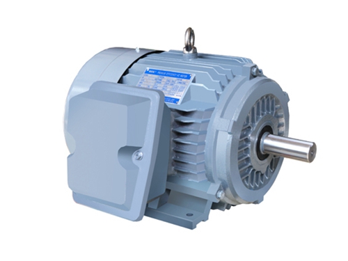 3 NE系列高(gāo)效高轉矩(ju)三相異步(bu)電動機