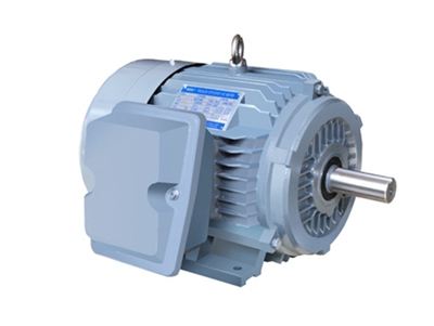 NE系列(liè)高效高(gao)轉矩三(san)相異步(bu)電動機(jī)