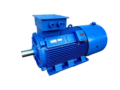 YLVF系列低(dī)壓大功(gōng)率變頻(pín)三相異(yi)步電動(dong)機