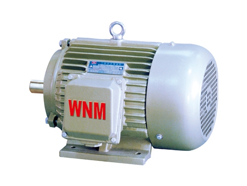 4 YD2系(xì)列變極(ji)多速三(sān)相異步(bù)電動機(jī)