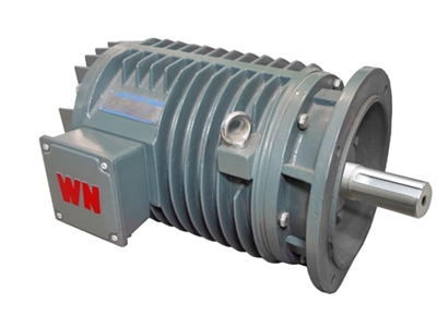 YG系(xì)列輥道用(yòng)調速三相(xiàng)異步電動(dòng)機