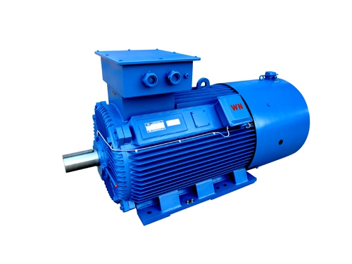 2 YLVF低(di)壓大功率變頻(pin)電動機