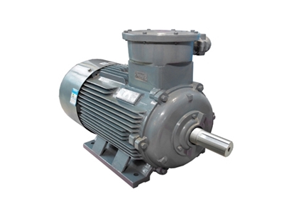 YB3系列隔爆型(xíng)三相異步電動機(ji)