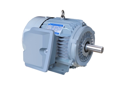 NE系列高效高轉矩(jǔ)三相異步電動機(jī)