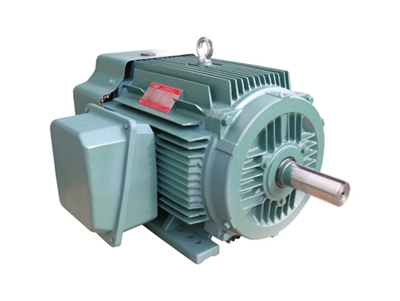 NEP系列超高(gao)效率三相異步電(dian)動機