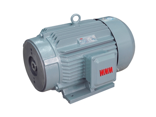 1 YYB系列油泵(beng)專用三相異步(bu)電動機