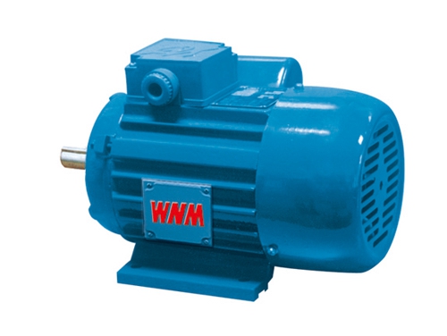 3 YY系列單相(xiang)異步電動機(ji)