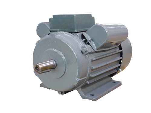 2 YL系列雙值電(dian)容異步電動機(jī)