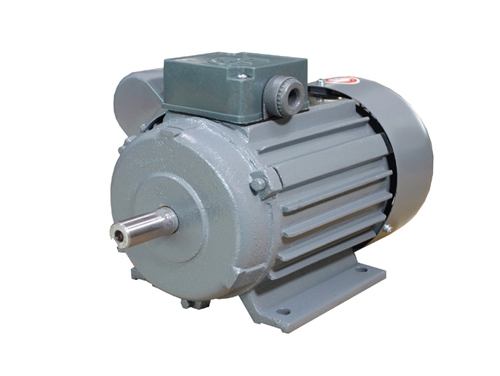 1 YC系列電(diàn)容起步異(yì)步電動機(ji)