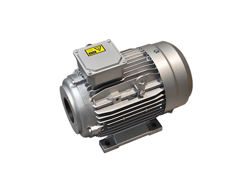 1 YYVF2系列新(xin)能源汽車助力(li)轉向泵電機